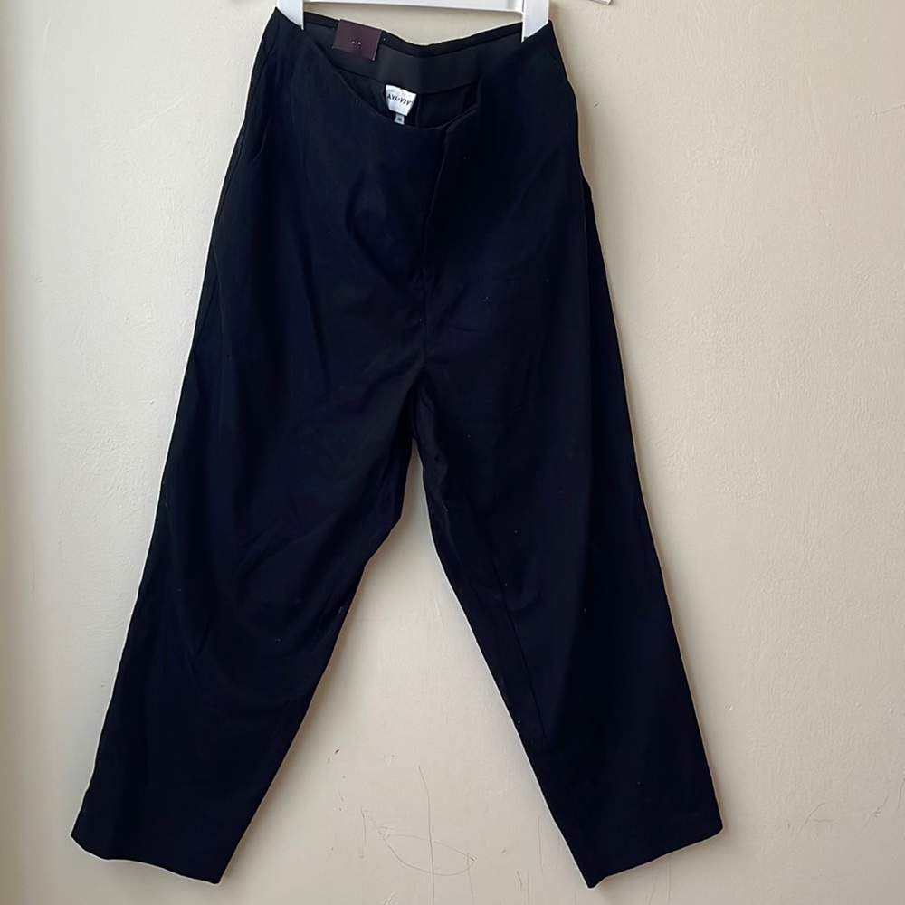 Plus Size Skinny  Pants